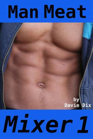 Cover of the book Man Meat, Mixer 1 by Delilah Dallas