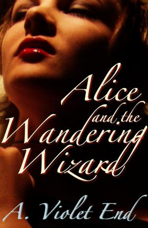 Book cover of Alice and the Wandering Wizard, an erotic fantasy