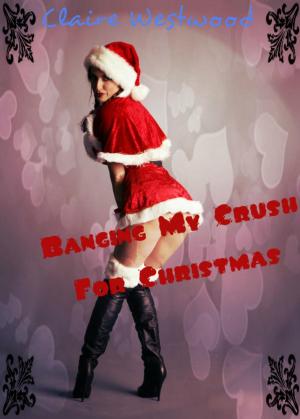 Cover of the book Banging My Crush for Christmas (Christmas, College, Party erotica) by Sophie Jones