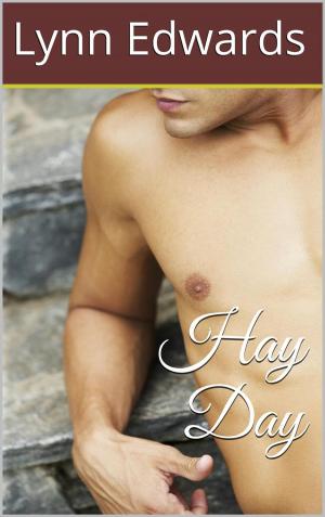 Cover of the book Hay Day by Lynn Edwards