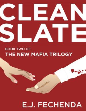 Cover of the book Clean Slate by Tessa Radley