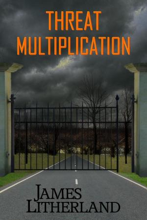 Cover of the book Threat Multiplication by James Litherland