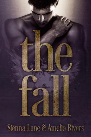 Cover of the book The Fall by J. G. Sauer