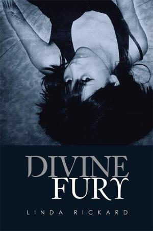 Cover of the book Divine Fury by Matilda Raj