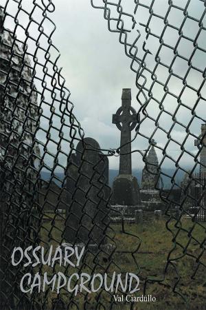bigCover of the book Ossuary Campground by 