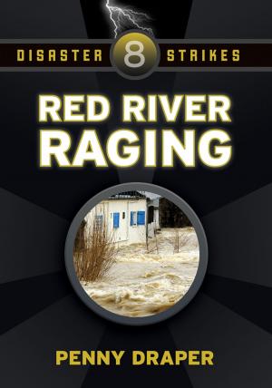 Cover of the book Red River Raging by Catherine Egan