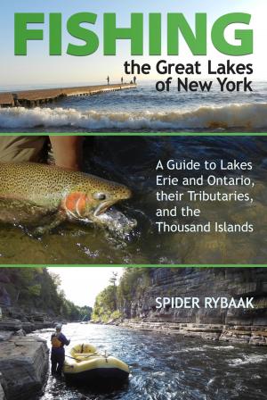 Cover of the book Fishing the Great Lakes of New York by D. J. Muller