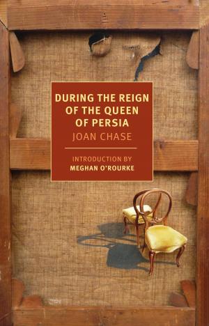 Cover of the book During the Reign of the Queen of Persia by Teffi