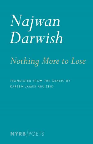 Cover of the book Nothing More to Lose by 