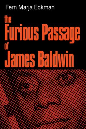Cover of the book The Furious Passage of James Baldwin by Paula Fried, SuEllen Fried, ADTR, co-author, “Bullies, Targets & Witnesses, Helping Children Break the Pain Chain”