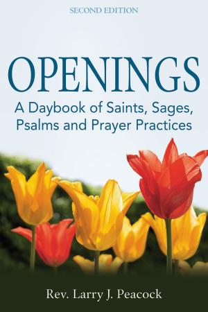 Book cover of Openings (2nd Edition)