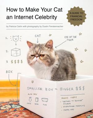 Cover of the book How to Make Your Cat an Internet Celebrity by Alys R. Yablon