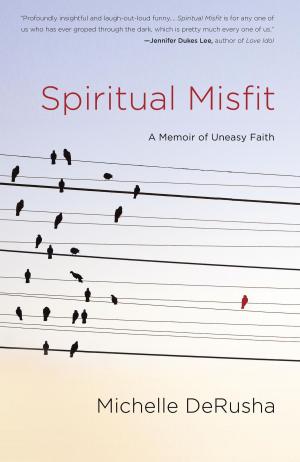 Cover of the book Spiritual Misfit by James P. Moore, Jr.