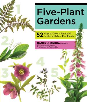 Cover of the book Five-Plant Gardens by John Holl