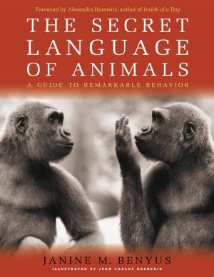 Cover of the book Secret Language of Animals by Alex Ott