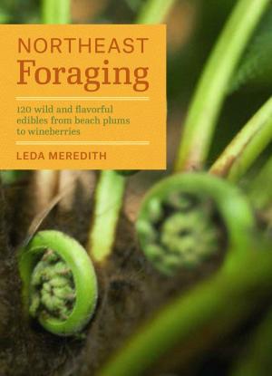 Cover of the book Northeast Foraging by Tracy DiSabato-Aust