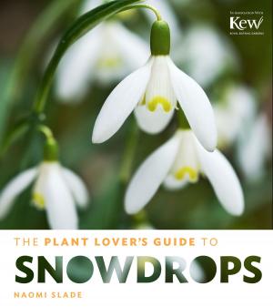 bigCover of the book The Plant Lover's Guide to Snowdrops by 