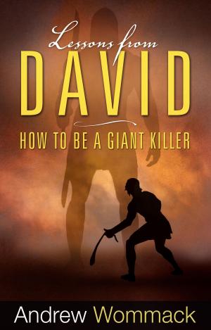 Cover of the book Lessons from David by Renner, Rick