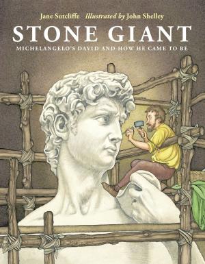 Cover of the book Stone Giant by Sandra Markle