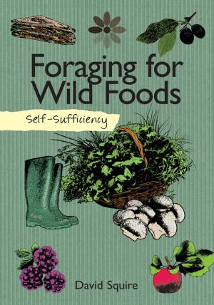 Book cover of Self-Sufficiency: Foraging for Wild Foods