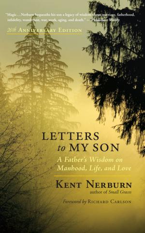 Cover of the book Letters to My Son by Patricia Monaghan, PhD