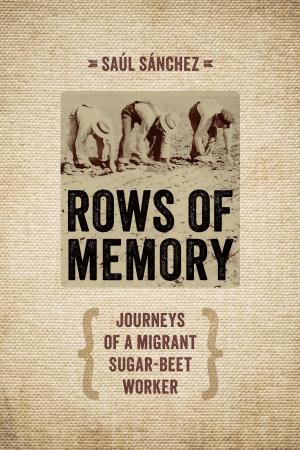 Cover of the book Rows of Memory by Linda M. Clemmons