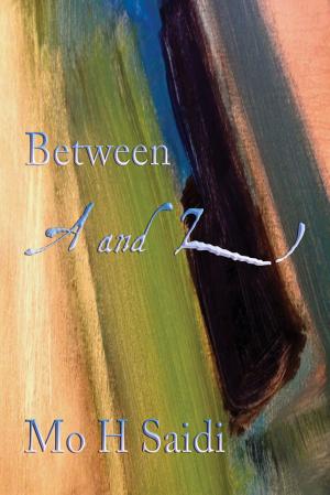 Cover of the book Between A and Z by John Howard Griffin