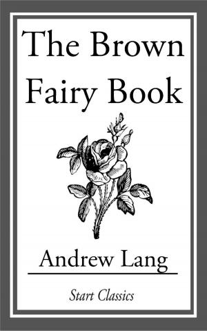 Cover of the book The Brown Fairy Book by Sewell Peaslee Wright