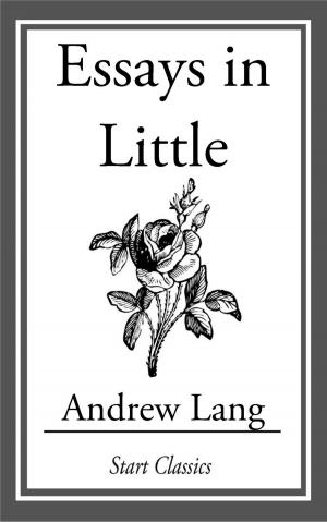 Cover of the book Essays in Little by Allen Kim Lang