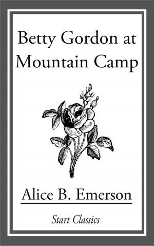 Cover of the book Betty Gordon at Mountain Camp by Max Brand