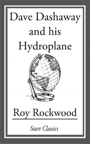 Cover of the book Dave Dashaway and His Hydroplane by Paul Schellhas