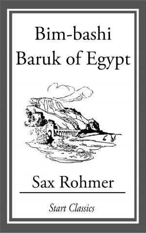 Cover of the book Bim-bashi Baruk of Egypt by Nathaniel Hawthorne