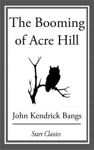 Cover of the book The Booming of Acre Hill by Berthold Auerbach