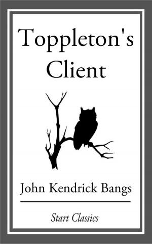 Cover of the book Toppleton's Client by Jeff McArthur