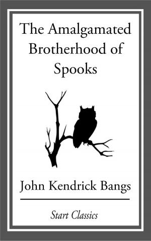 Cover of the book The Amalgamated Brotherhood of Spooks by Arthur Leo Zagat