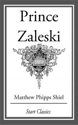 Cover of the book Prince Zaleski by Rainer Maria Rilke