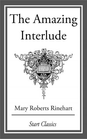 Cover of the book The Amazing Interlude by Arthur G. Hill