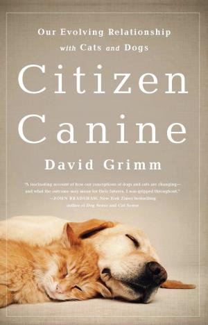Cover of the book Citizen Canine by Jacquelyn Elnor Johnson, Tristan Pulsifer