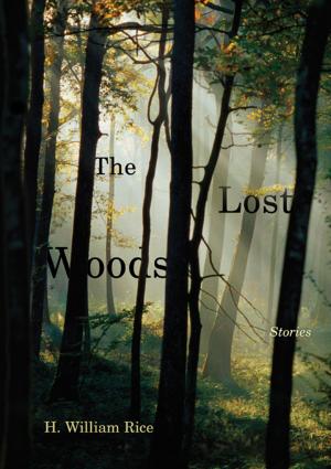 Cover of the book The Lost Woods by Timothy W. Galow, Linda Wagner-Martin