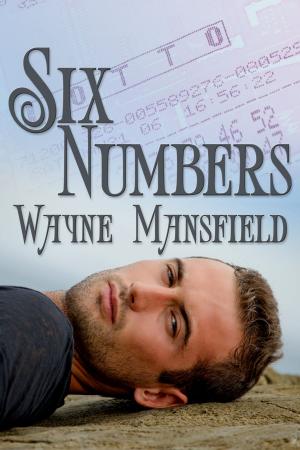 Cover of the book Six Numbers by Deirdre O’Dare
