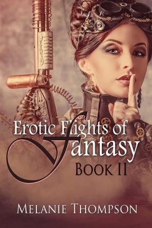 bigCover of the book Erotic Flights of Fantasy II by 