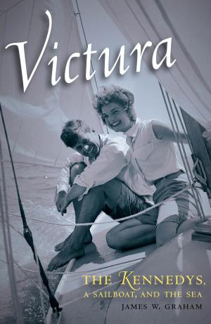 Book cover of Victura
