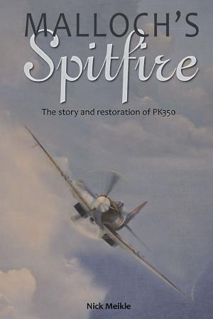 Cover of the book Malloch's Spitfire by Robin L. Rielly