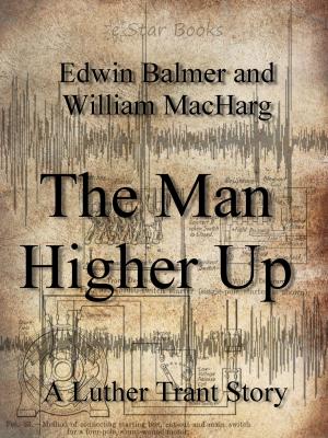 Book cover of The Man Higher Up