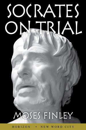 Cover of the book Socrates on Trial by Barry Libert