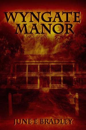Cover of the book Wyngate Manor by Ann Hymes