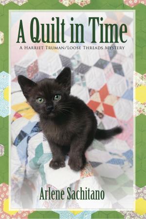 Cover of the book A Quilt in Time by Mike DiCerto