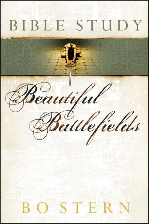 Cover of the book Beautiful Battlefields Bible Study by Jim Downing
