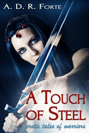 Cover of the book A Touch of Steel by Circlet Press Editorial Team