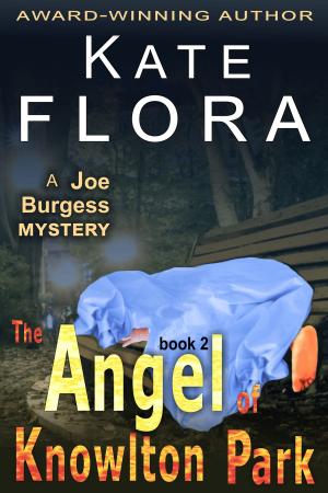 Cover of the book The Angel of Knowlton Park (A Joe Burgess Mystery, Book 2) by E J Barber